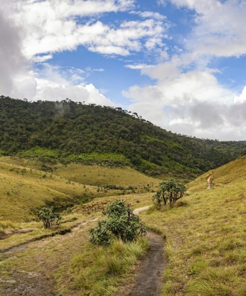 Panoramic view of Horton Plains in Sri Lanka