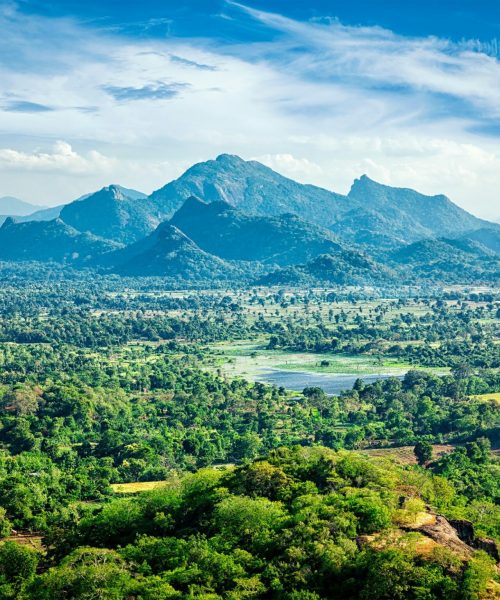 Sri Lankan landscape