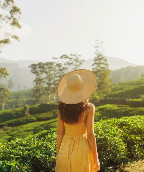 Woman Traveler at The Tea Plantations in Nuwara Eliya, Sri Lanka